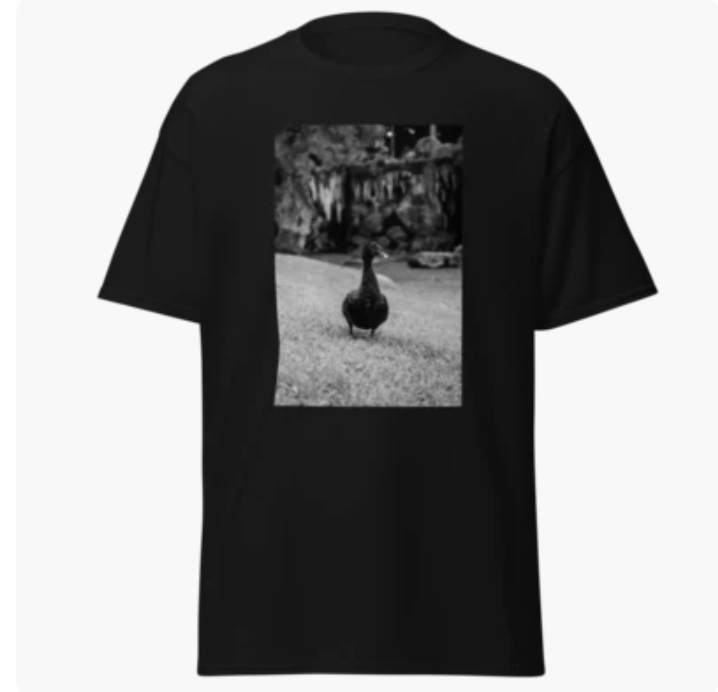 OG GOOSE TEE #2 – SILLY GOOSE